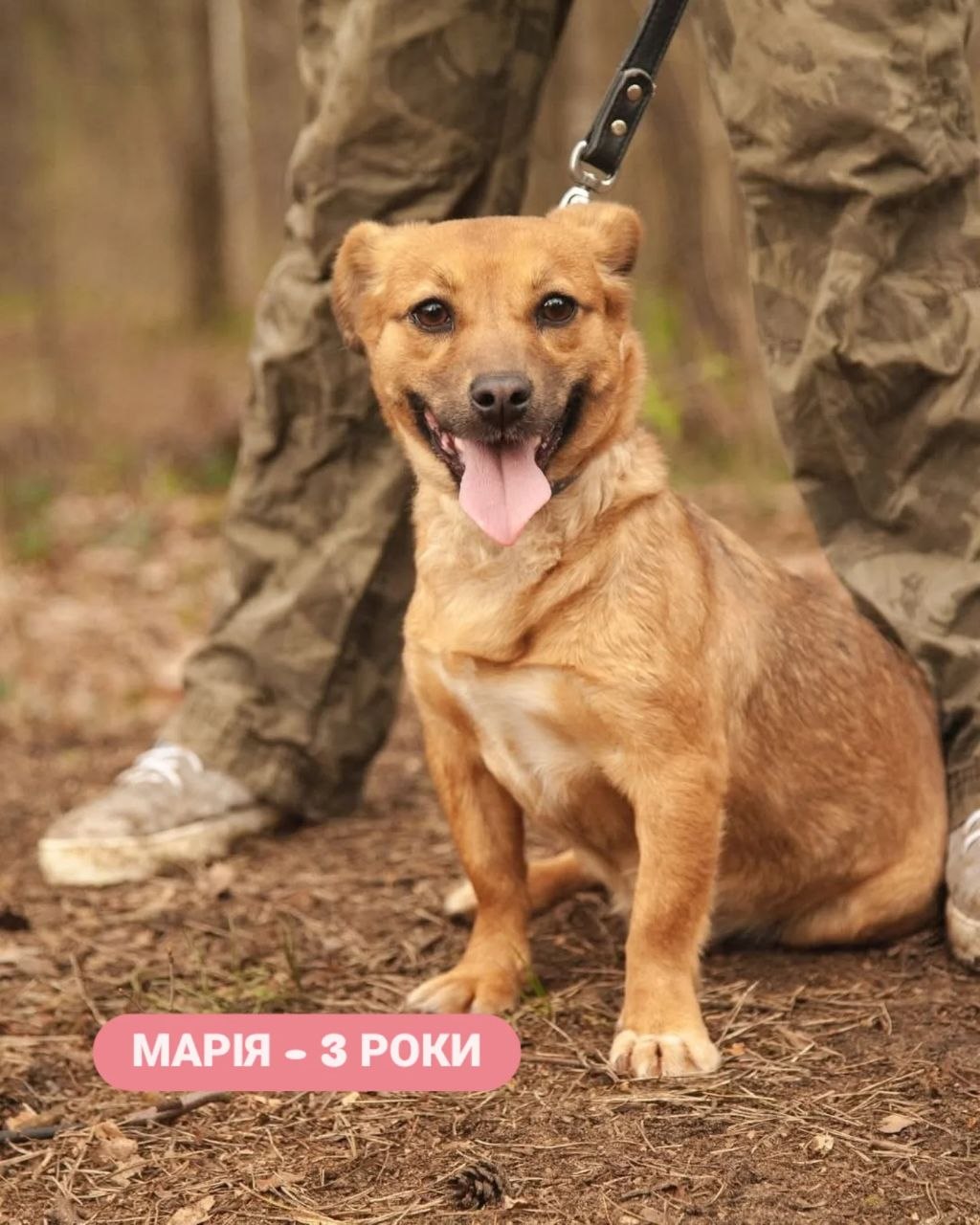 Марія, 3 роки