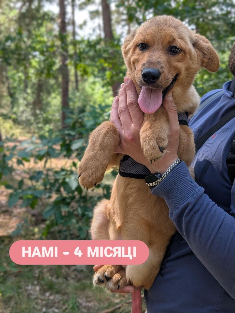 Намі, 4 місяці