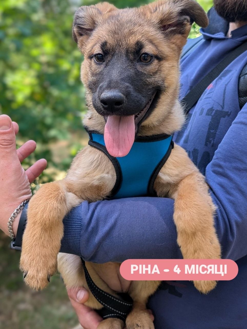 Ріна, 4 місяці