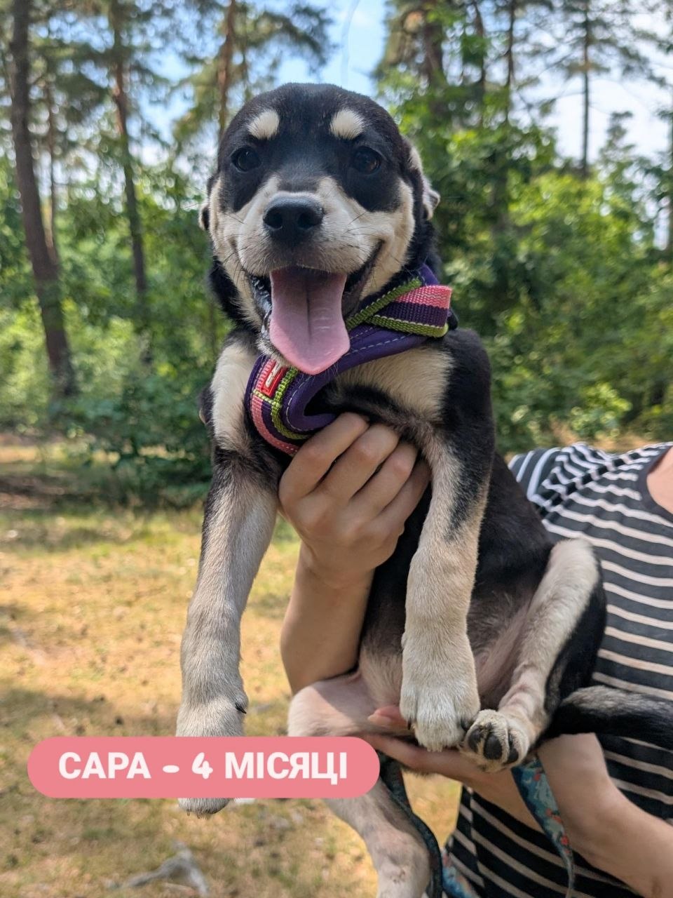 Сара, 4 місяці