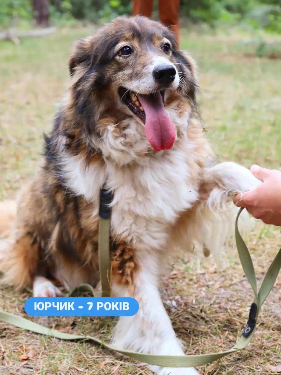 Юрчик, 7 років